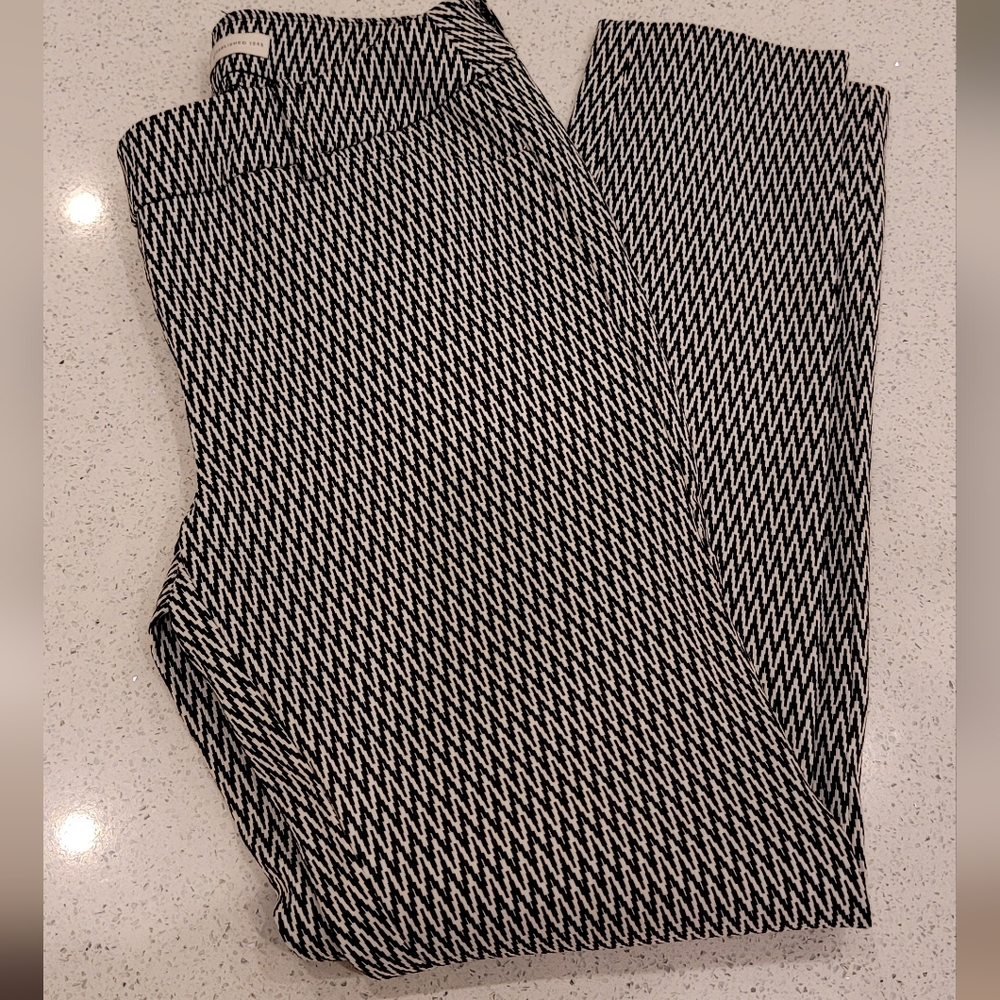 Womens Cato Contemporary Pants Size 4